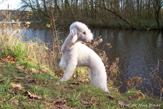 Alanna 24112007 - Kopie.jpg